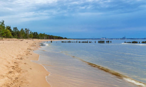 Plaże Gdańsk